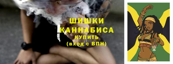 амф Вязьма