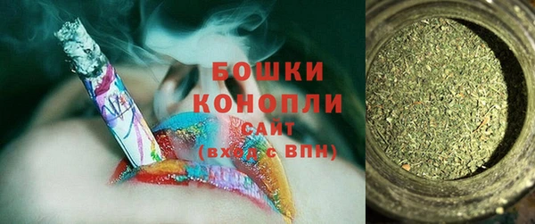прущий лед Вяземский
