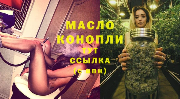 прущий лед Вяземский