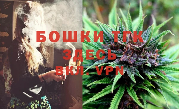 прущая мука Дмитриев